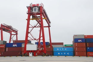 山東到?？趪鴥燃b箱海運專線運輸公司