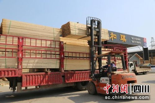 成都青白江國(guó)際木材交易中心國(guó)外采購(gòu)力度大 每月200多個(gè)集裝箱