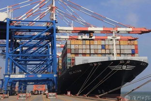 剛剛,廈門曬出上半年經濟 成績單 這些數(shù)據亮了